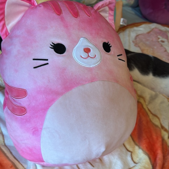 Claudella tabby cat squishmallow brand new - Picture 4 of 7